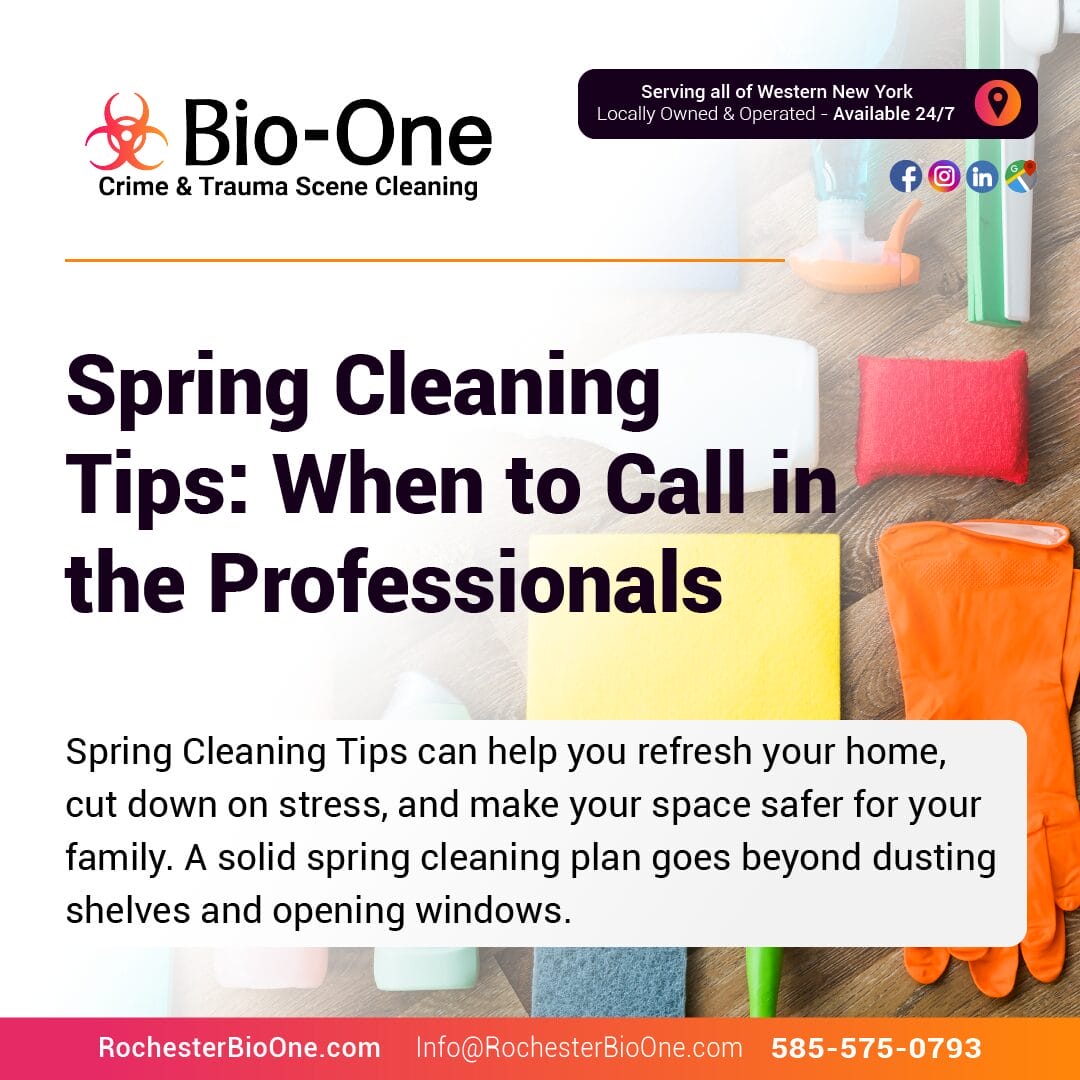 Spring Cleaning Tips: When to Call in the Professionals